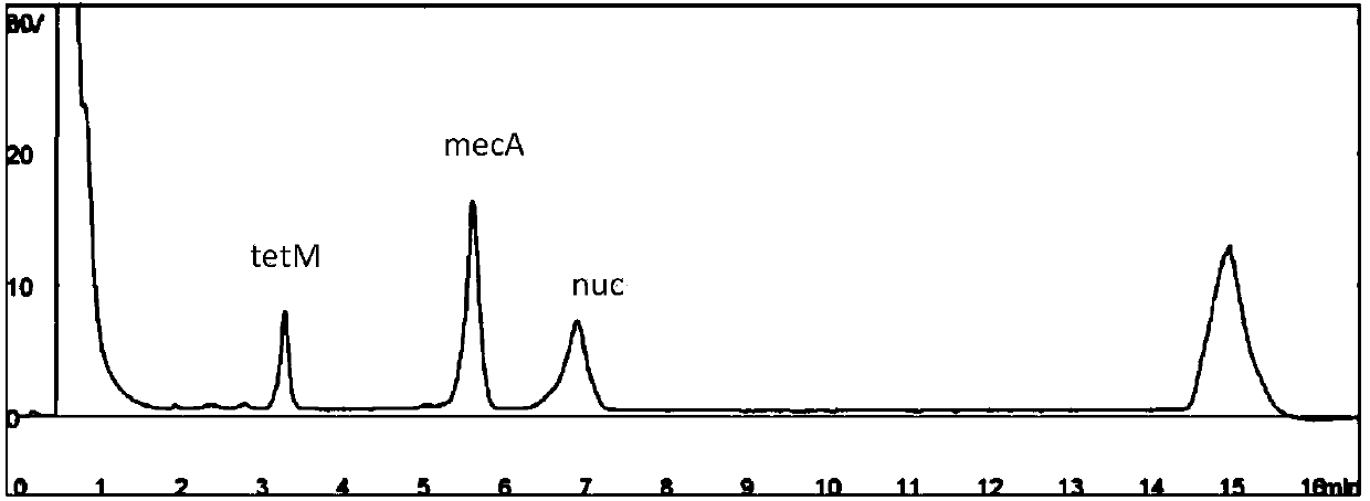 Composition used for detection of methicillin-resistant and/or tetracycline-resistant staphylococcus aureus