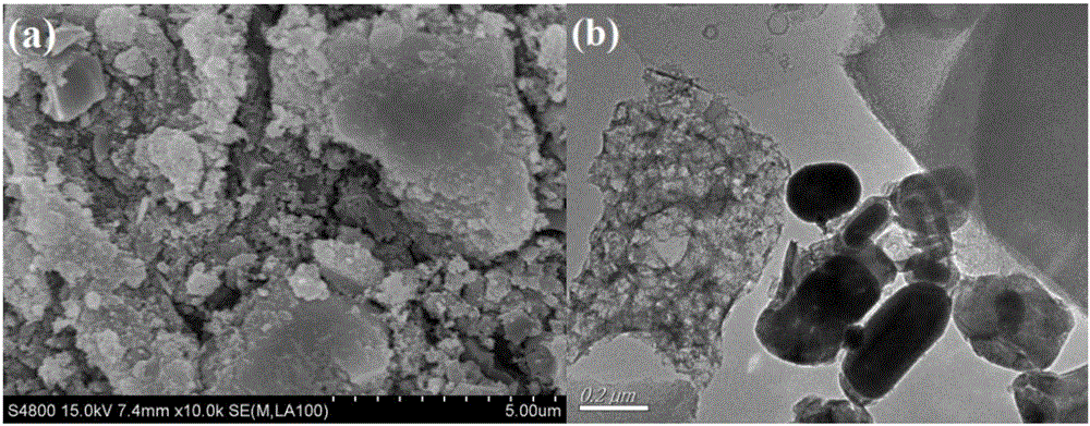 Preparation method and application of magnetic hierarchical porous carbon material