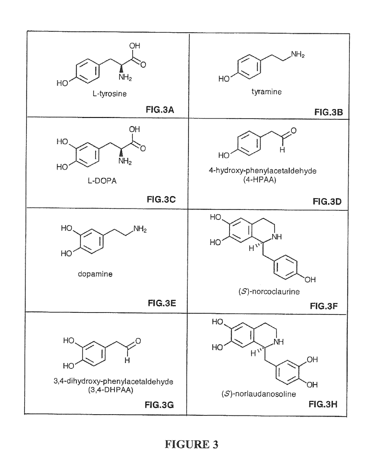 Compositions and Methods For Making (S)-Norcoclaurine and (S)-Norlaudanosoline, and Synthesis Intermediates Thereof