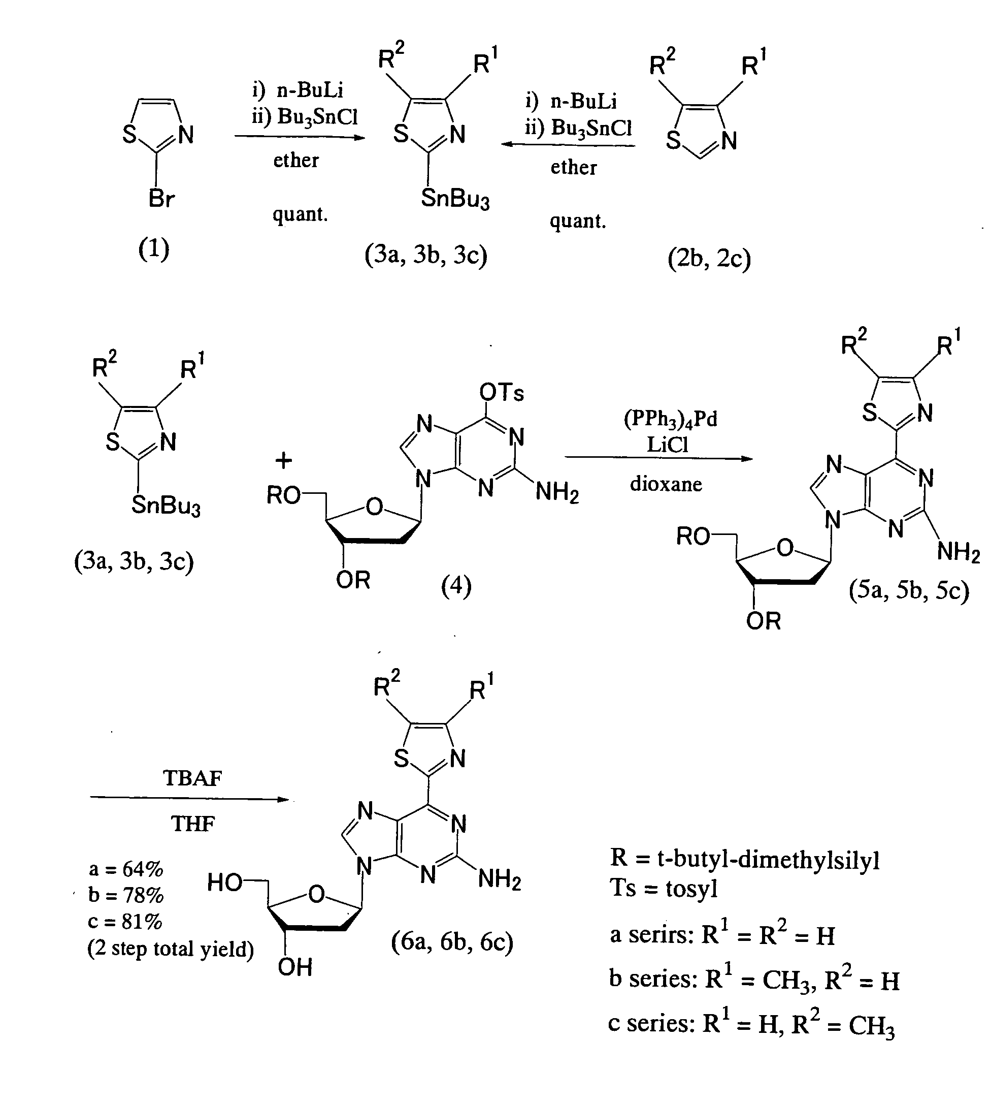 Nucleoside and nucleotide having an unnatural base and use thereof