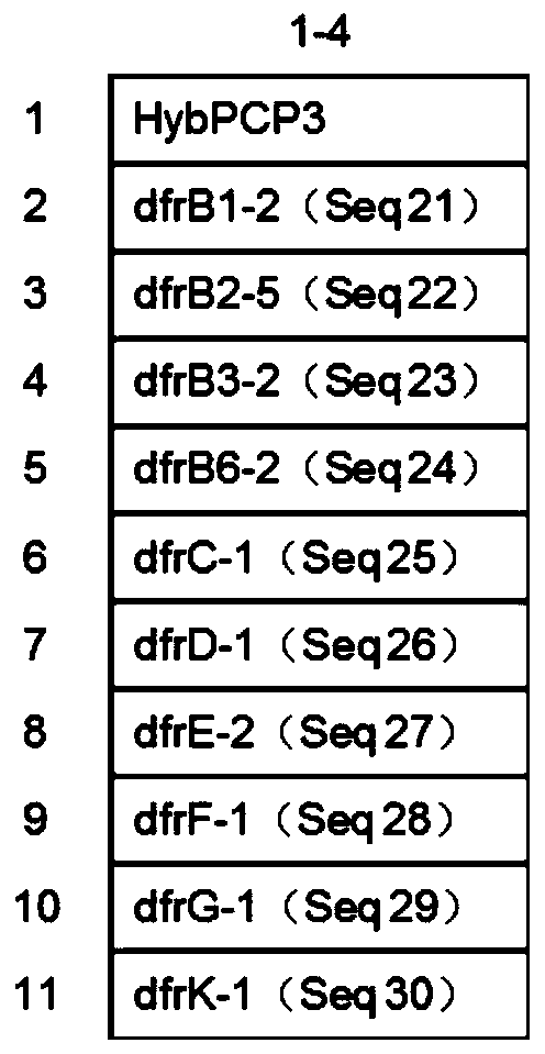 Method for detecting ten kinds of trimethoprim drug resistance genes and kits used