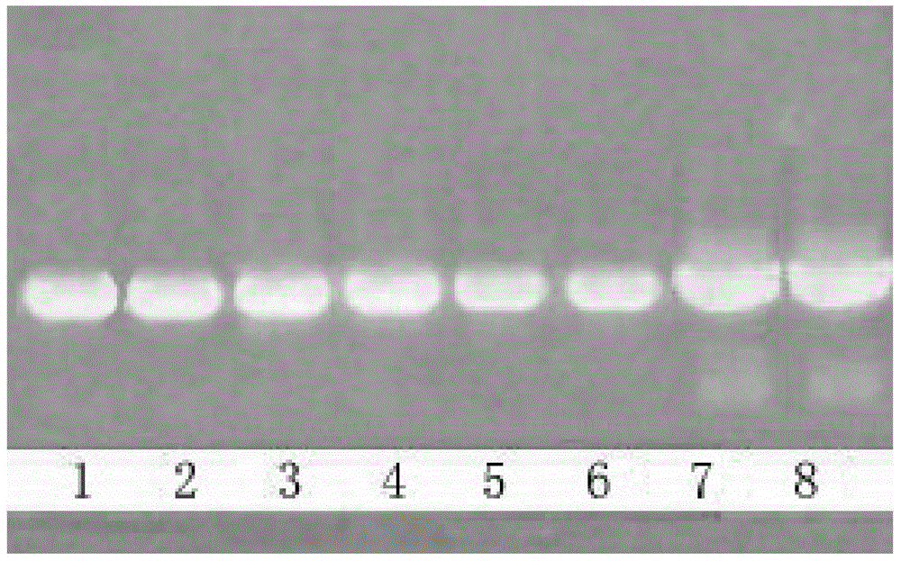 Preparation method of hot start dna polymerase, prepared polymerase and application thereof