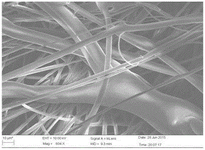 Thermocured electrospun egg-white protein micro-nanofiber membrane and preparation method therefor