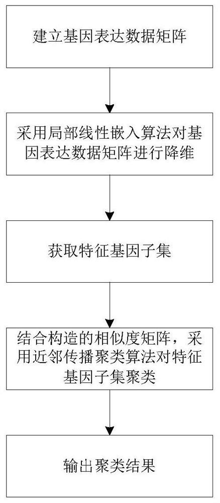 Gene classification method and device