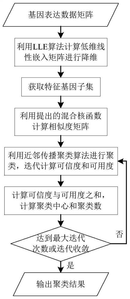 Gene classification method and device