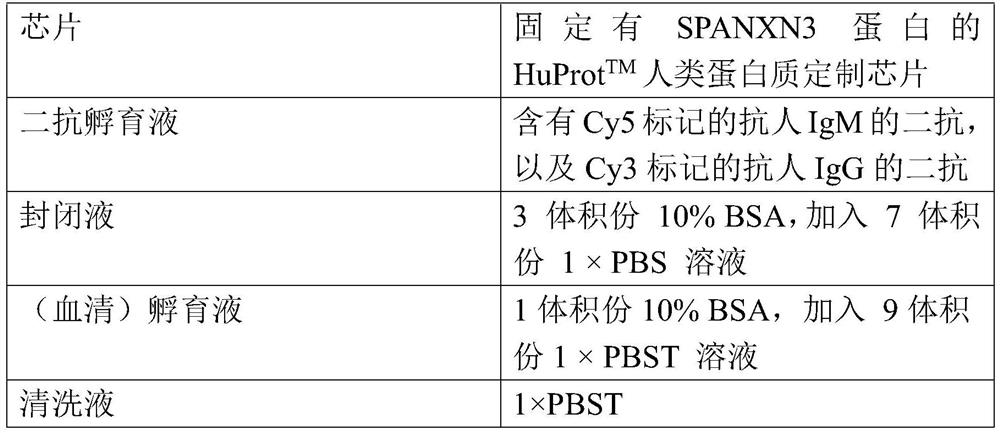 Use of the spanxn3 autoantibody detection reagent in the preparation of a lung cancer screening kit