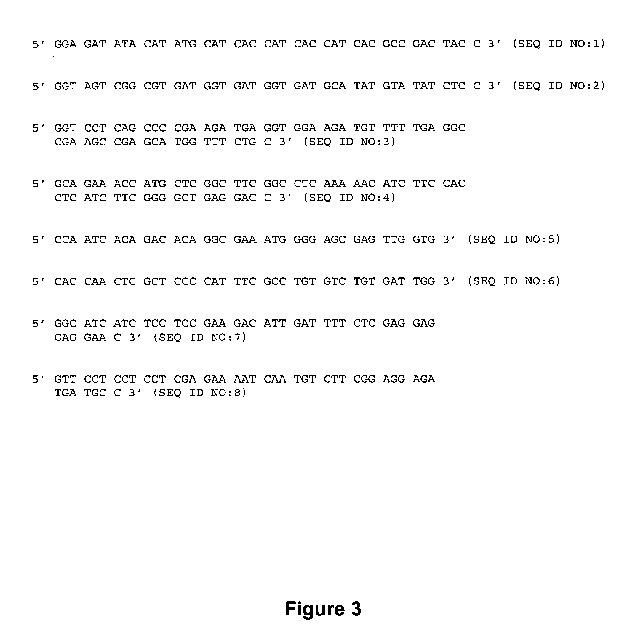 Recombinant histidine-tagged inosine monophosphate dehydrogenase polypeptides