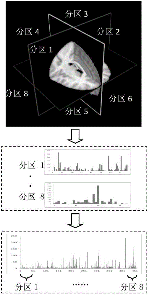 Brain disease identification method based on multistage partition bag-of-words model