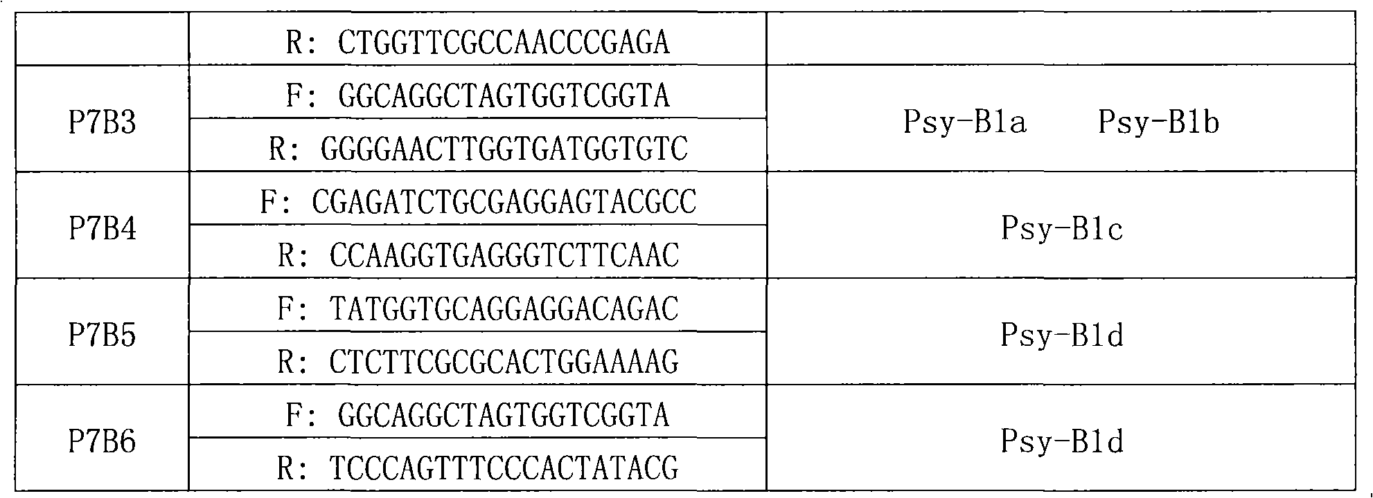 Protein relevant to content and trait of wheat flavochrome, encoding gene and applications thereof