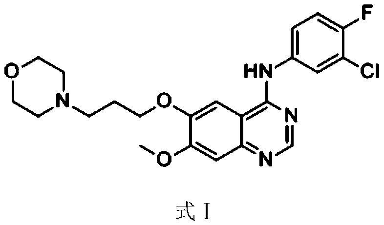 Composition containing morpholinyl propoxy quinazoline derivatives