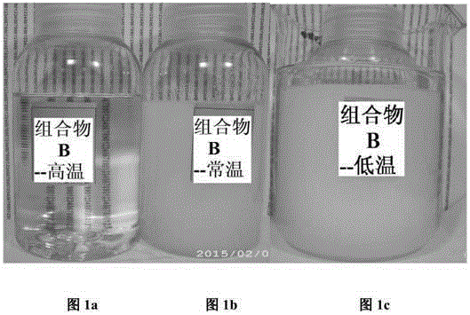 Stable liquid detergent composition with transparent appearance