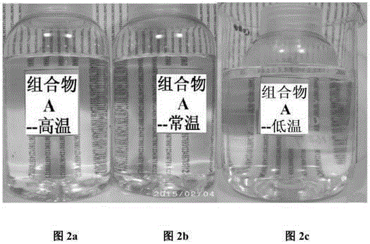 Stable liquid detergent composition with transparent appearance