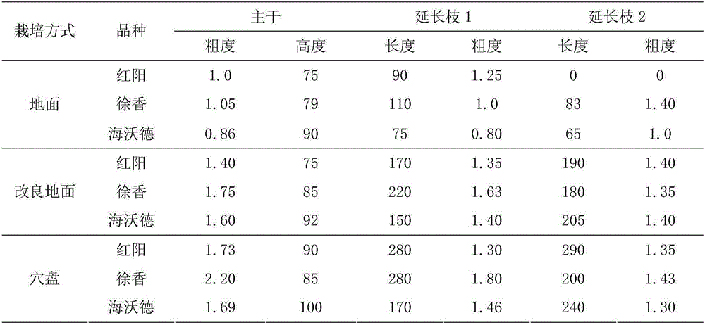 A kind of cultivation method of kiwifruit in unsuitable area