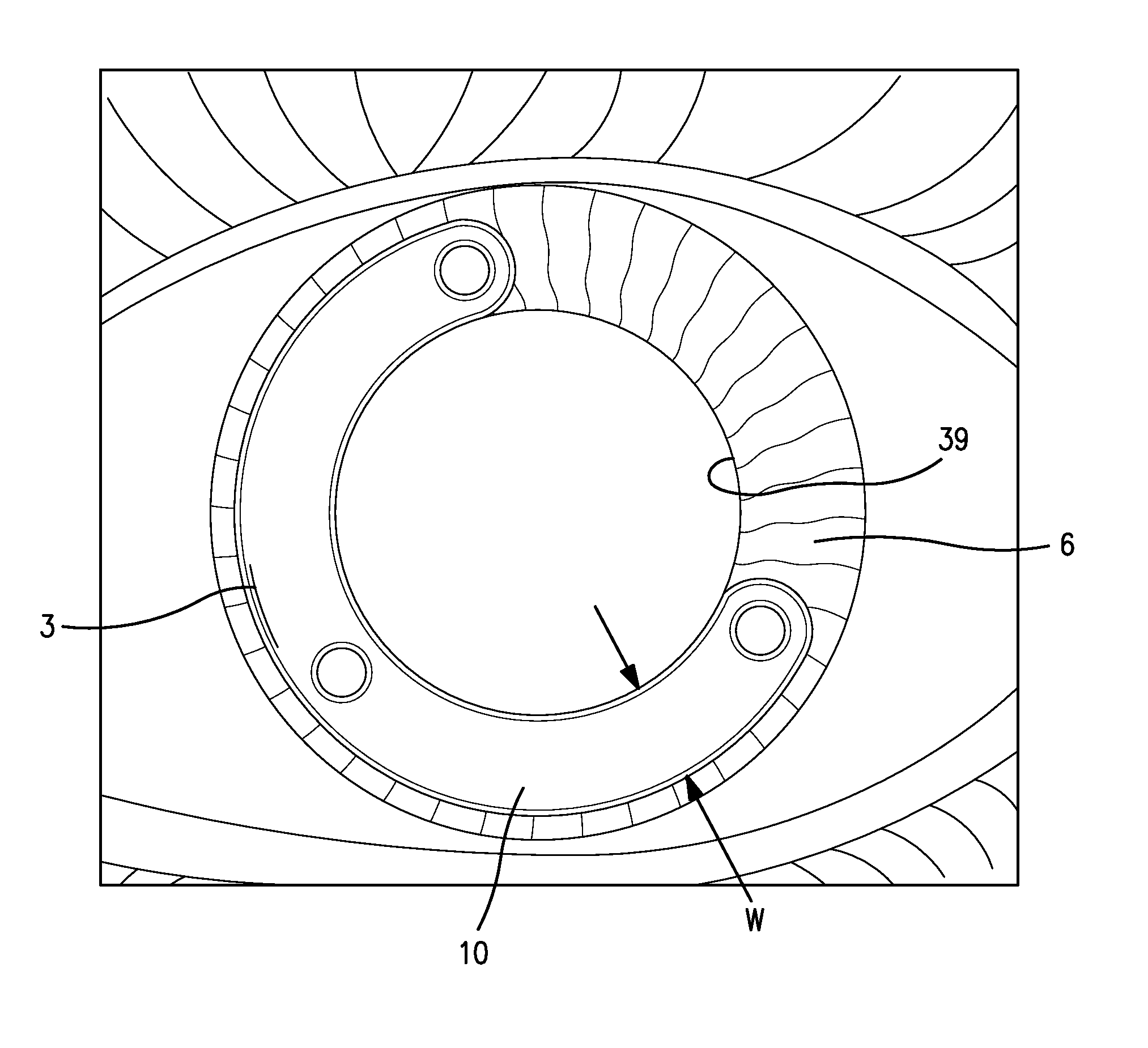 Iris shield