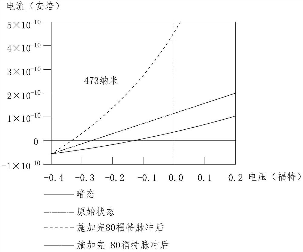 Photoelectric device based on ferroelectric PN junction, and preparation method thereof