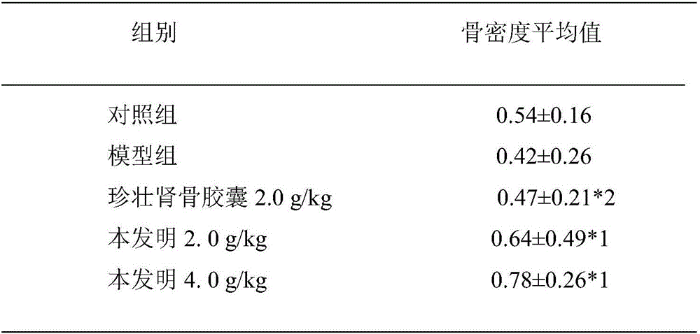 Traditional Chinese medicine composition for treating bone fracture, and preparation method thereof