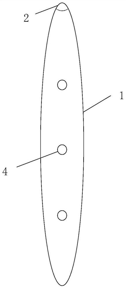 Lightning protection device and method for wind turbine blade of wind power plant