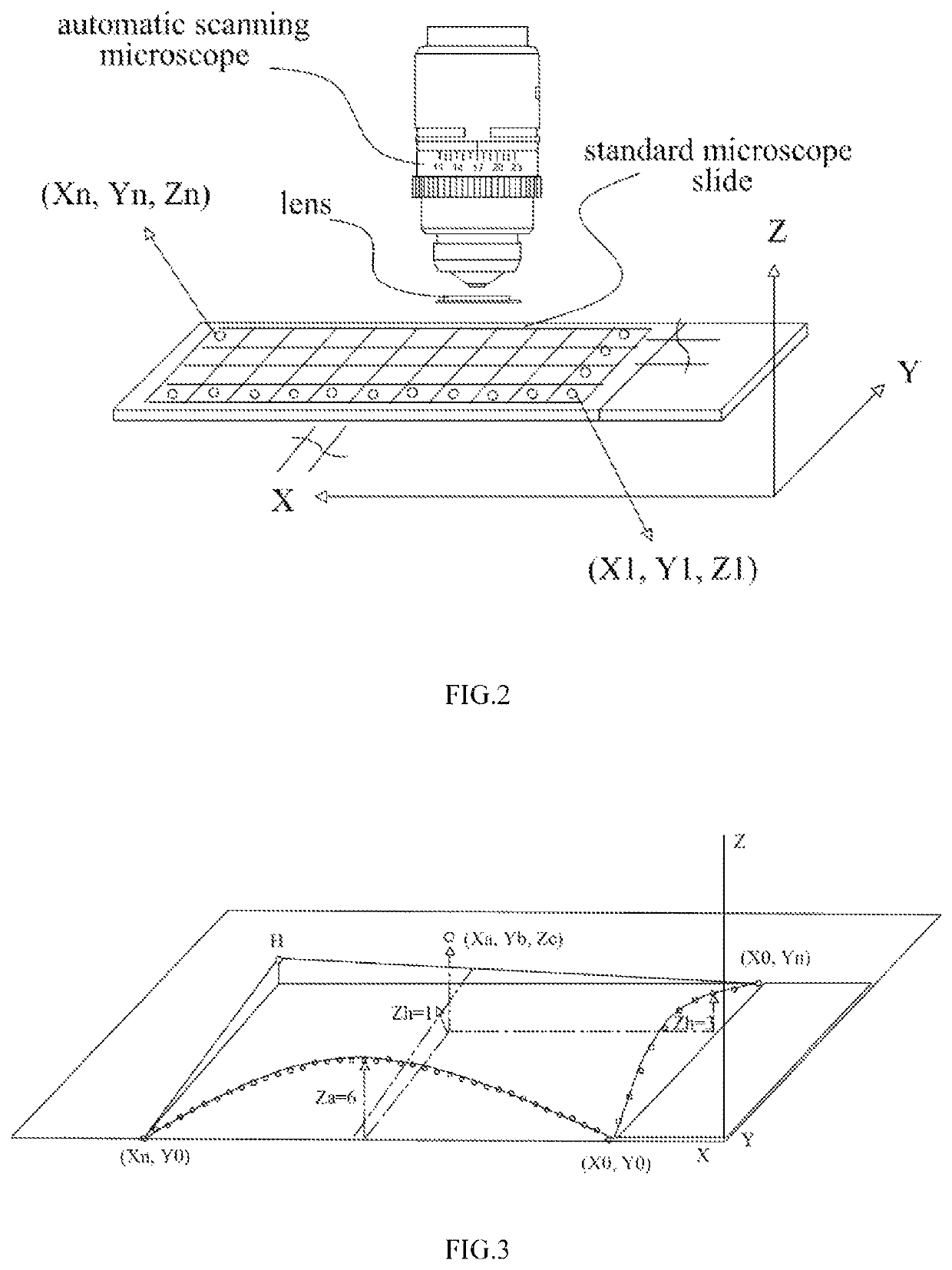 Method and microscope for measuring and calculating heights on curved surface of microscope slide