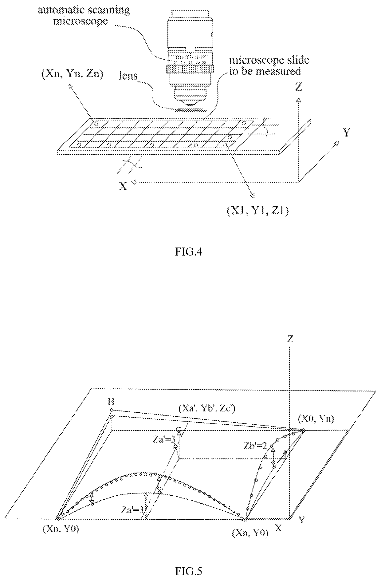 Method and microscope for measuring and calculating heights on curved surface of microscope slide