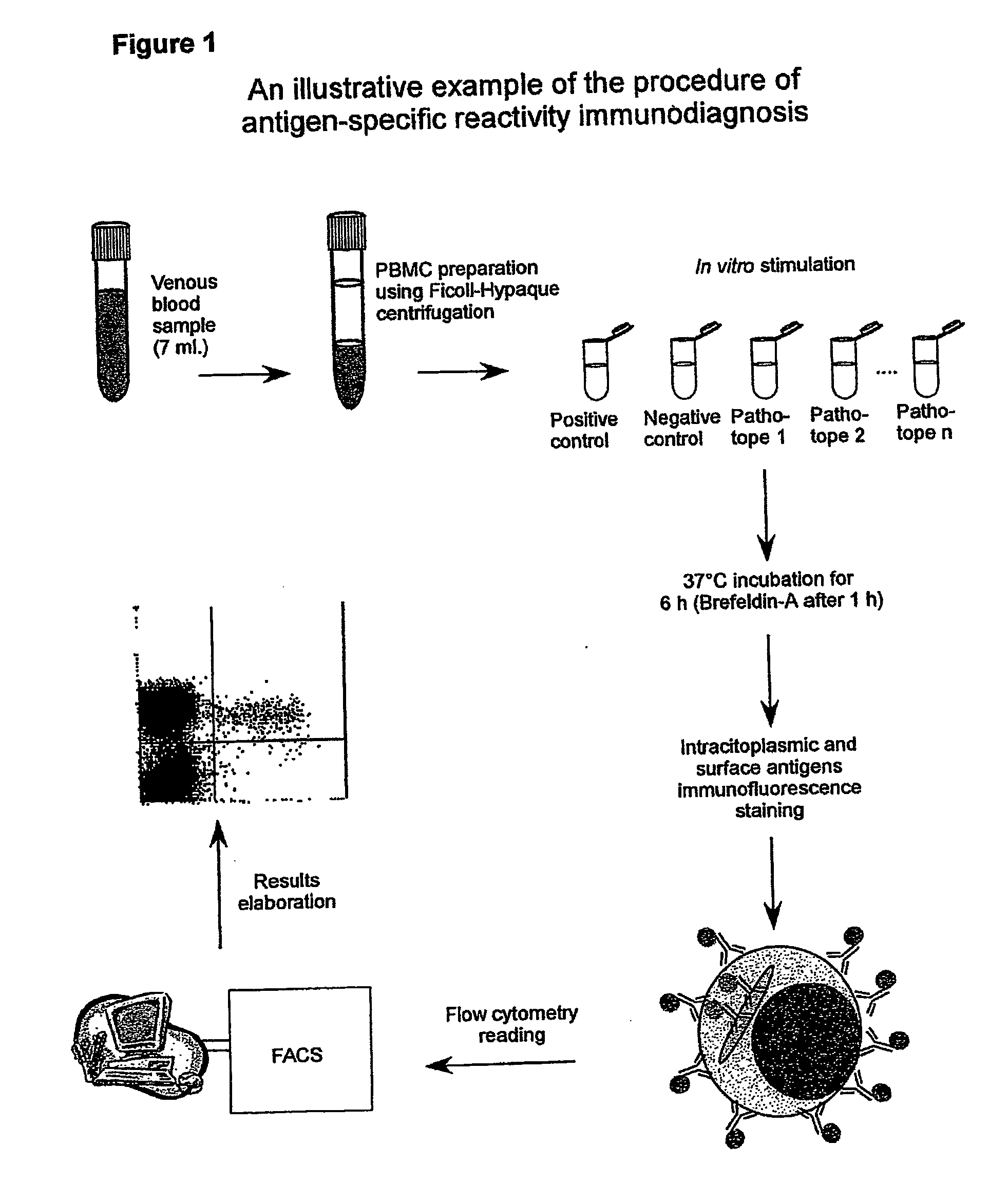 Method and diagnostic tests based on flow cytometric analysis of antigen-specific t lymphocytes