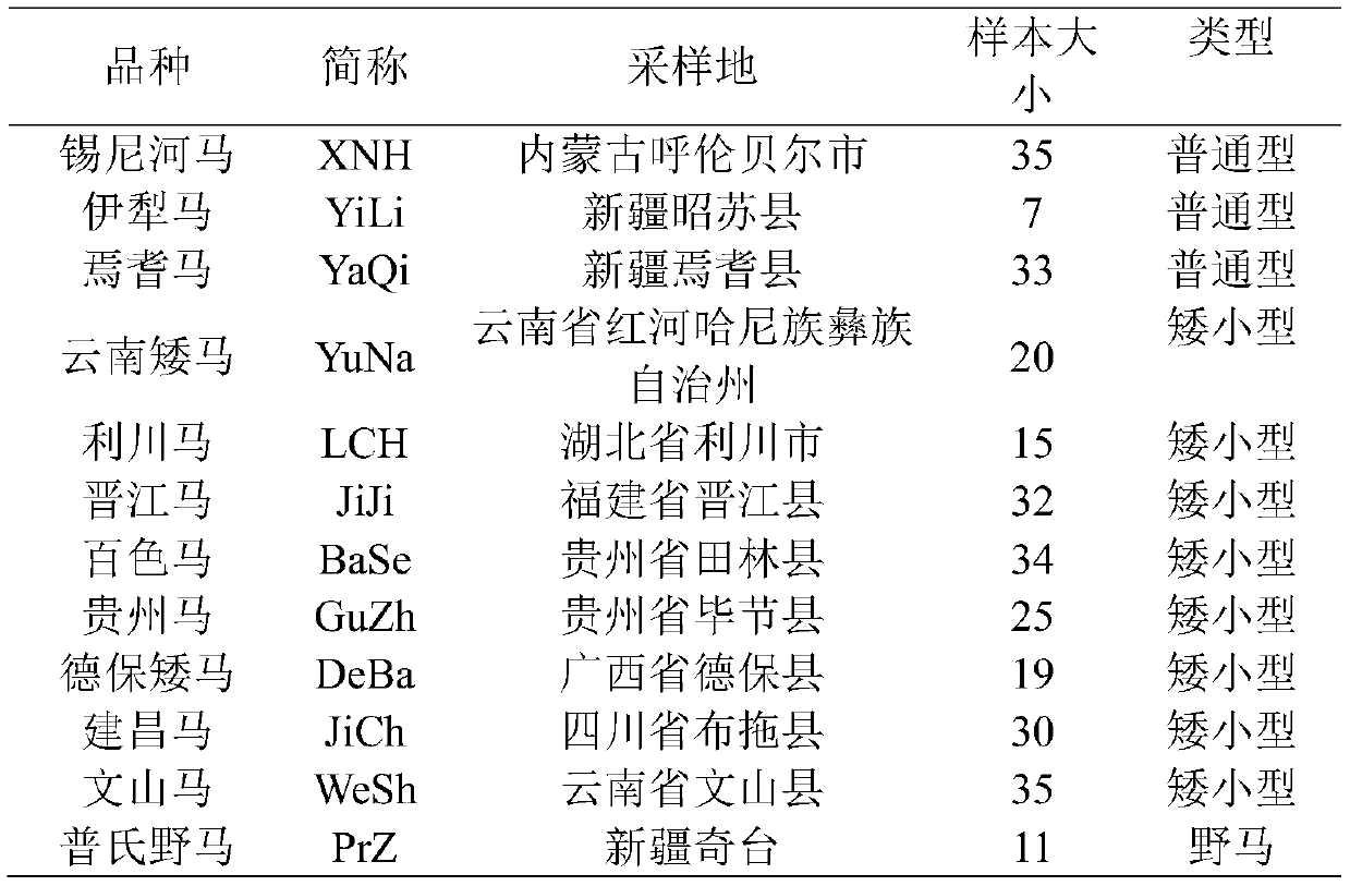 Single nucleotide polymorphism (SNP) marker related to Chinese horseshort stature characters and application thereof