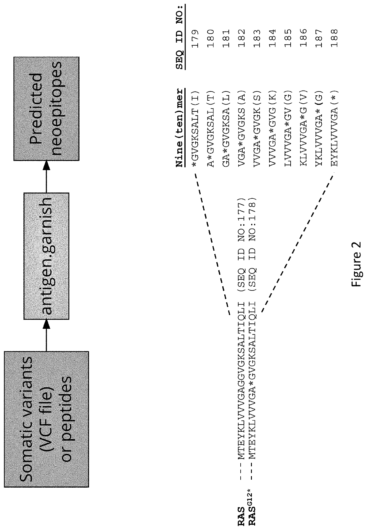 Compositions and Methods for Targeting Mutant RAS