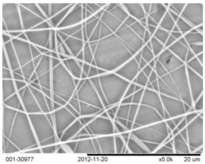 A kind of preparation method of glucose vinyl ester/isopropylacrylamide copolymer nanofibrous film