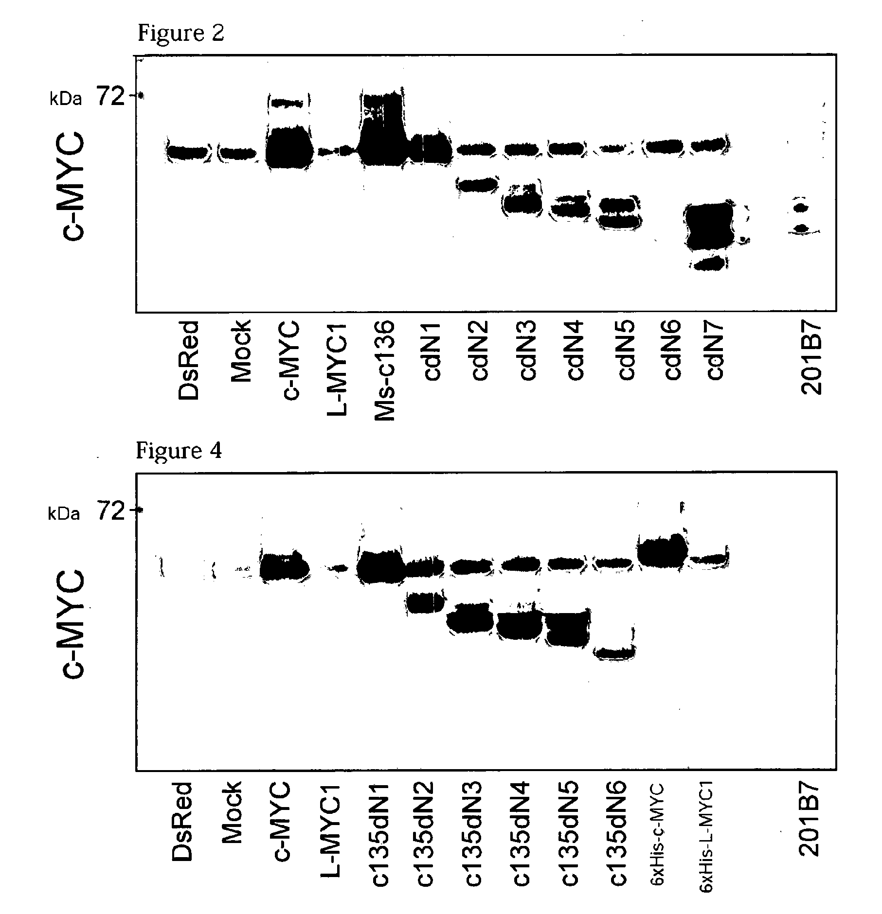 Method for improving induced pluripotent stem cell generation efficiency