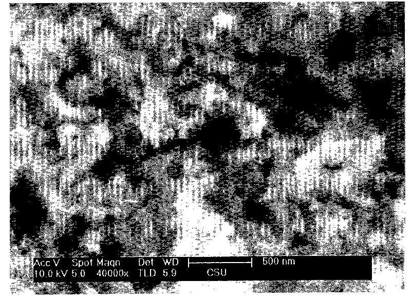 Method for preparing mono-disperse molybdenum disulfide nano sheet