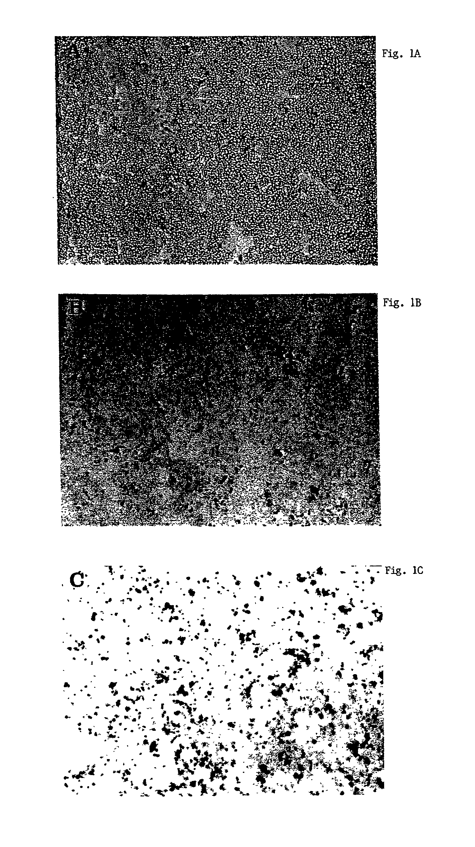 Methods and compositions for delivery of pharmaceutical agents