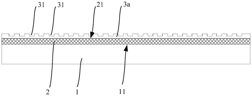 Display screen and terminal