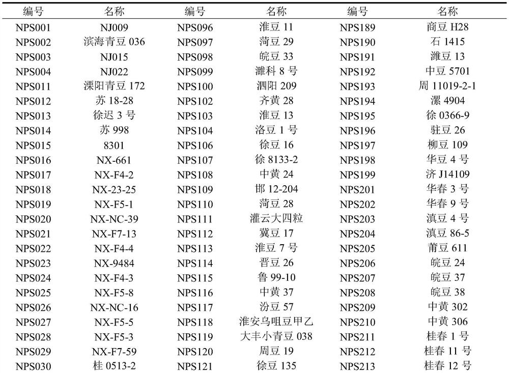Single nucleotide mutation site SNP and KASP markers significantly associated with soybean protein content and application thereof