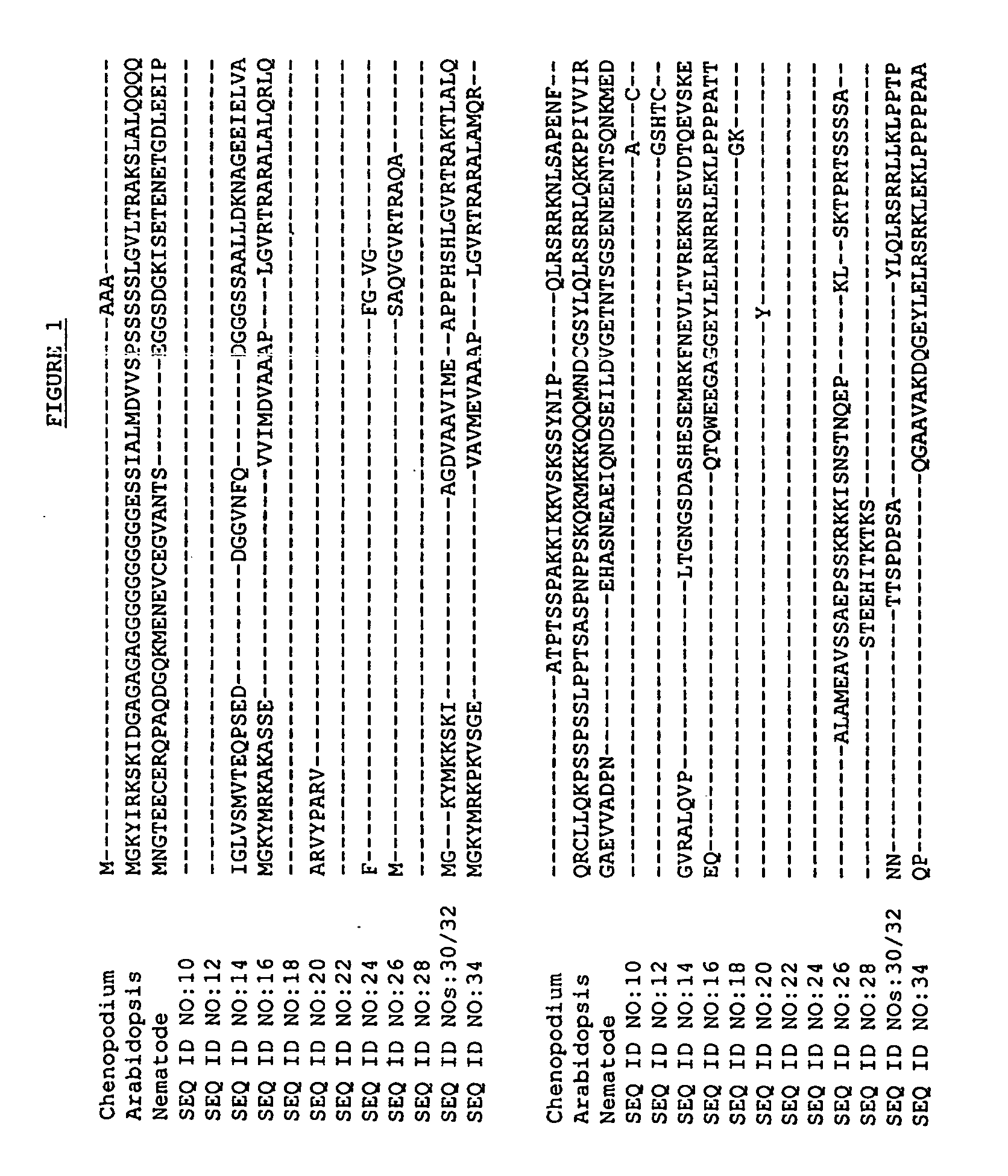 Cell cycle genes in plants