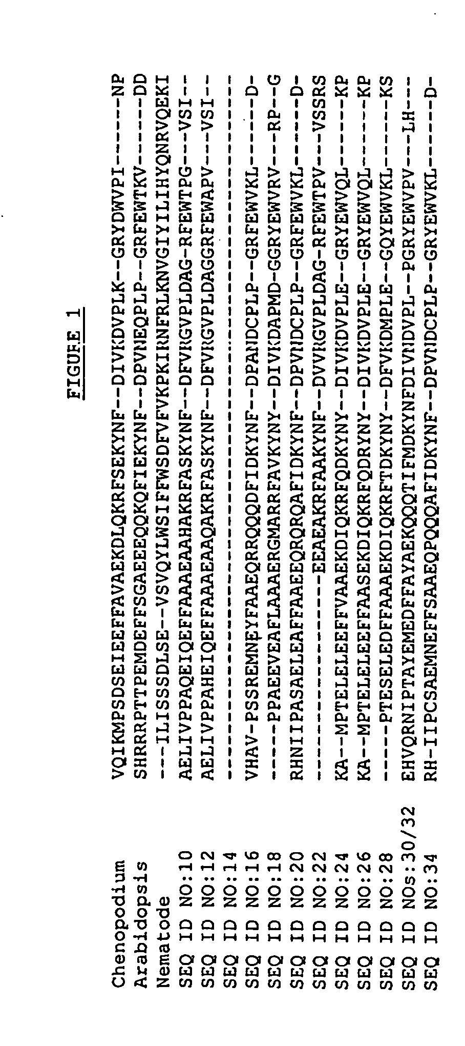 Cell cycle genes in plants