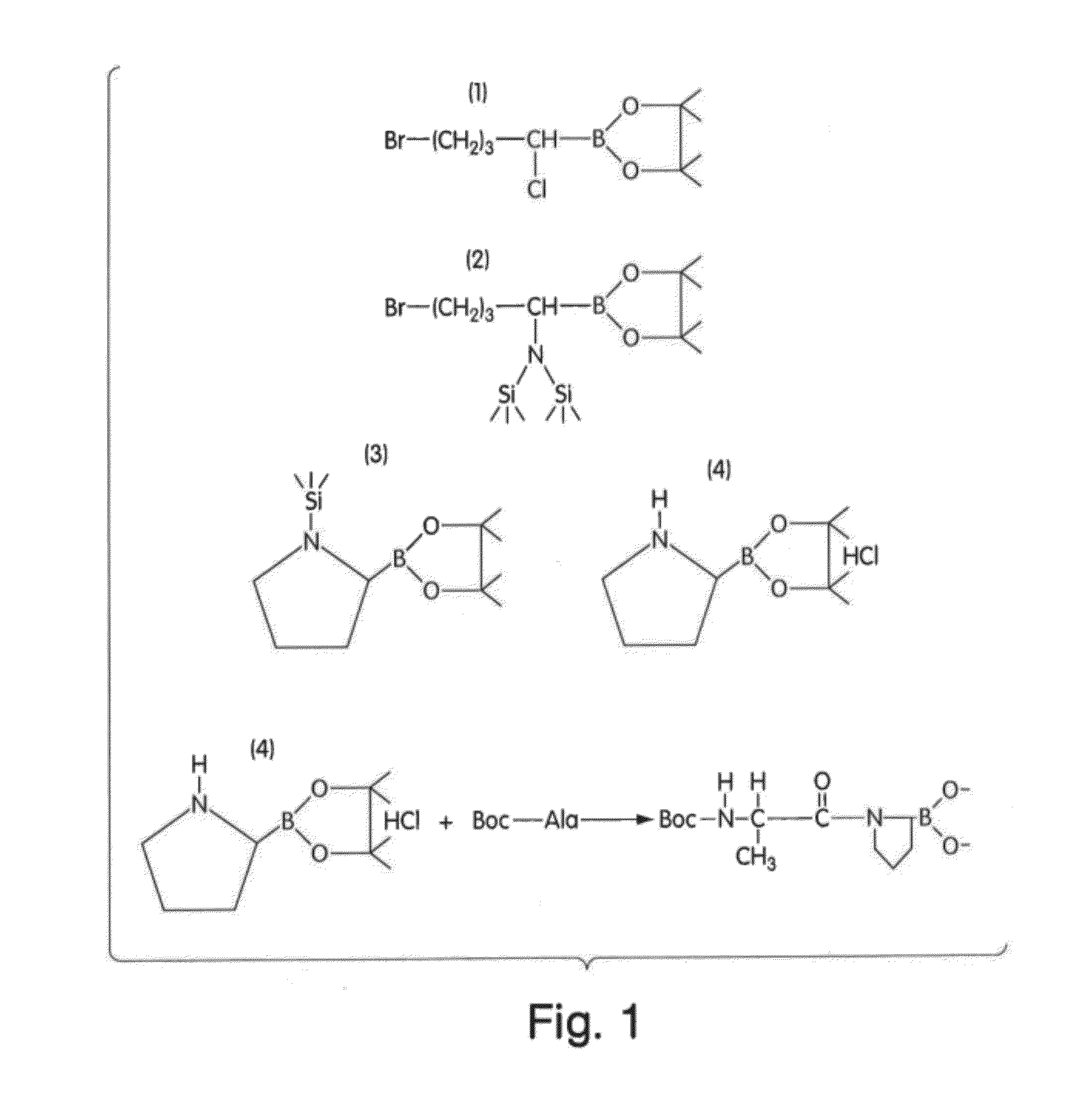 Methods for Treating Autoimmune Disorders, and Reagents Related Thereto