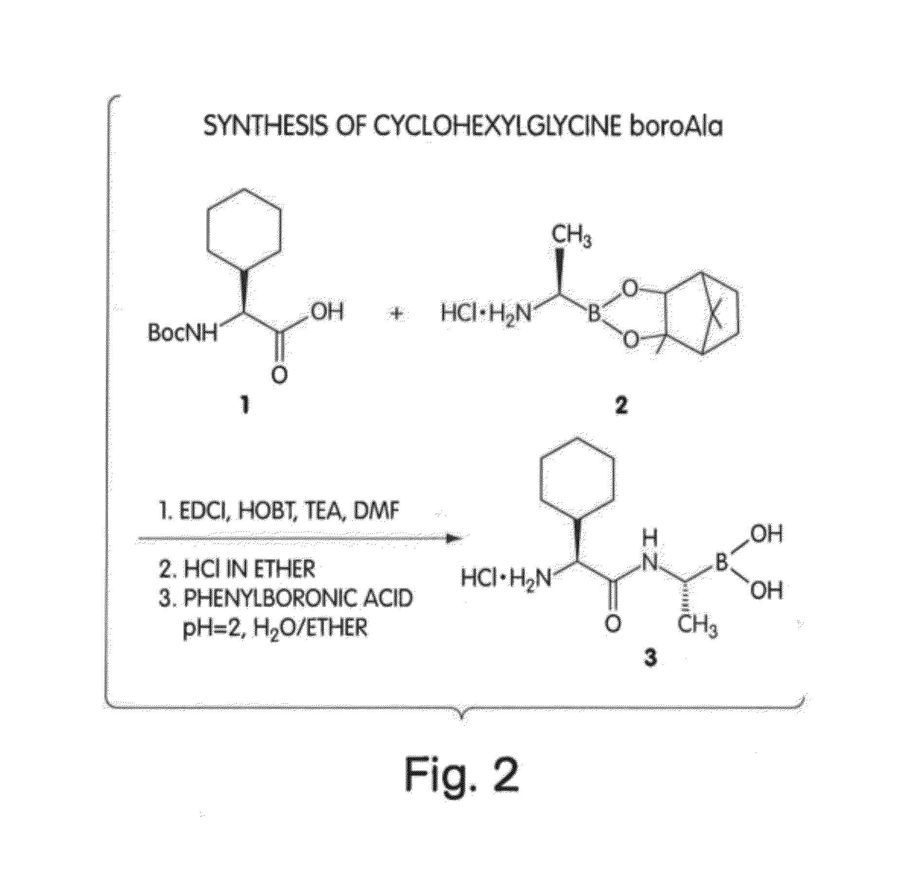 Methods for Treating Autoimmune Disorders, and Reagents Related Thereto