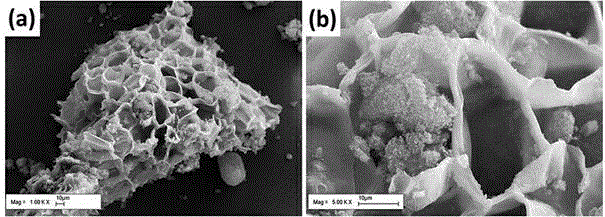 Cork-powder-based porous composite material and preparation method and application thereof