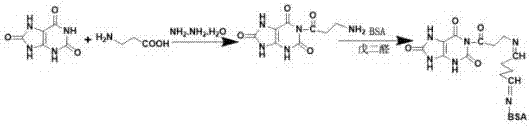 Preparation method of uric acid artificial antigen