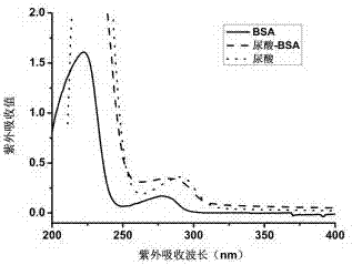 Preparation method of uric acid artificial antigen