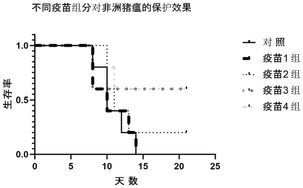 Subunit vaccine composition against African swine fever as well as preparation method and application thereof