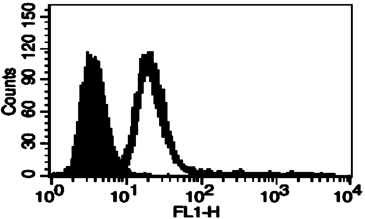 Rhamnose modified tumor whole-cell vaccine