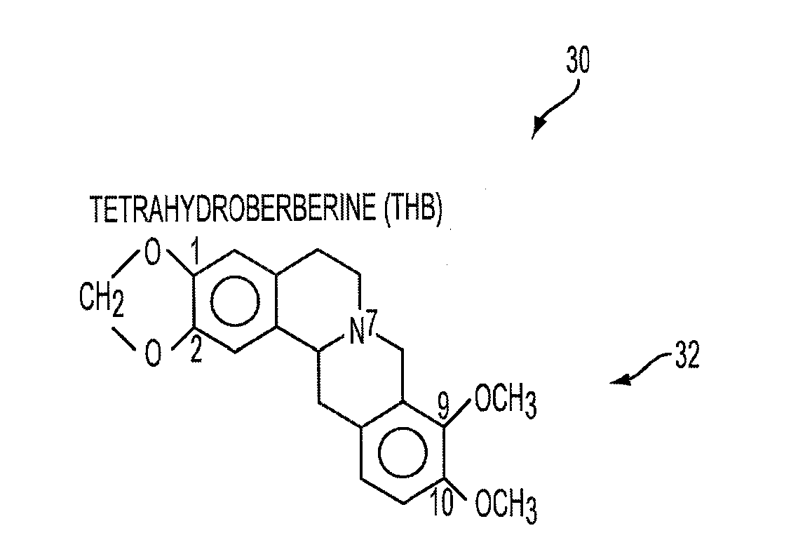 Method for Decreasing Nicotine and Other Substance Use in Humans