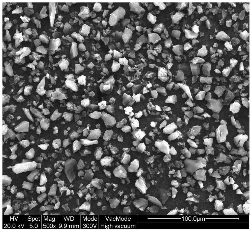 Biomass activated carbon, preparation method and application thereof, and electrode