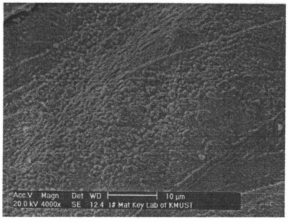 Electrode materials of composite rare-earth iridium alloy and sparking plug of using the electrode materials