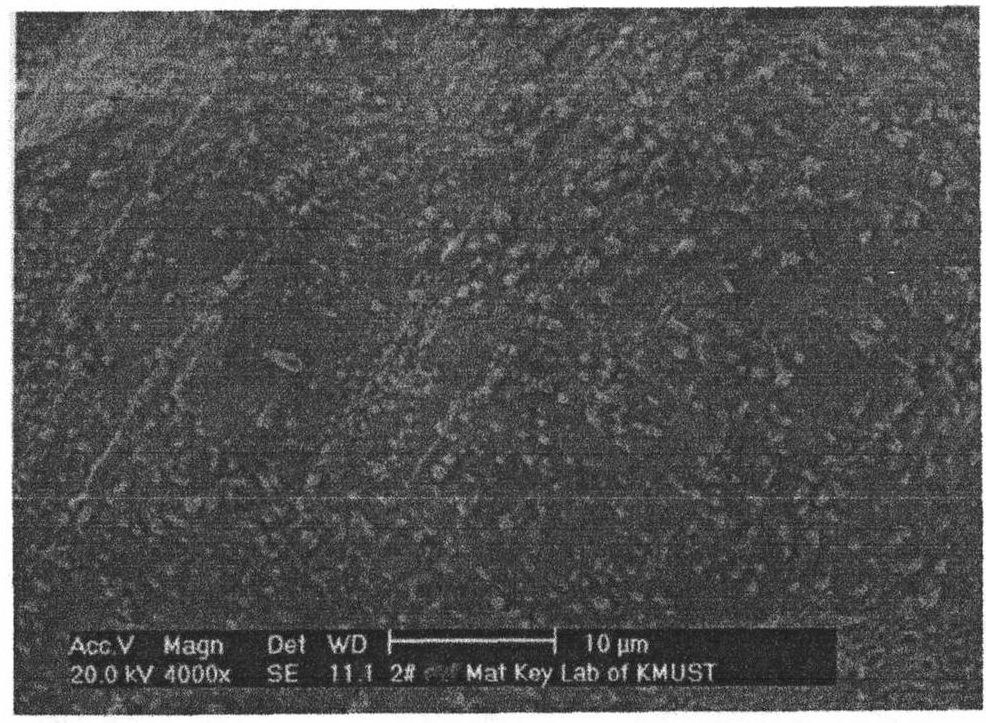 Electrode materials of composite rare-earth iridium alloy and sparking plug of using the electrode materials