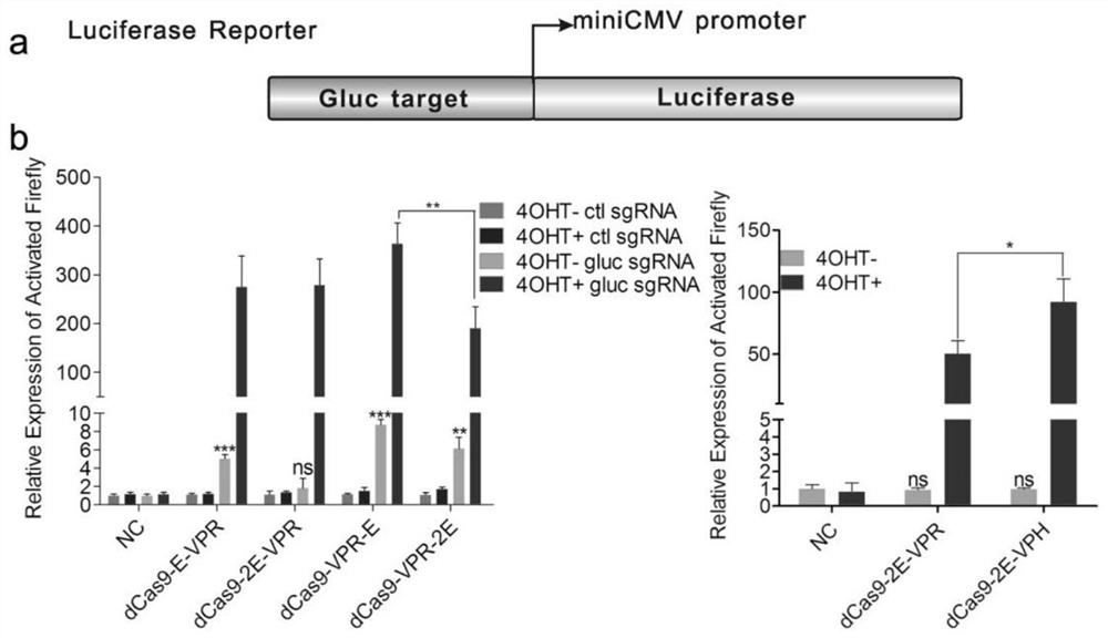 A drug-inducible CRISPR/Cas9 system for gene transcriptional activation