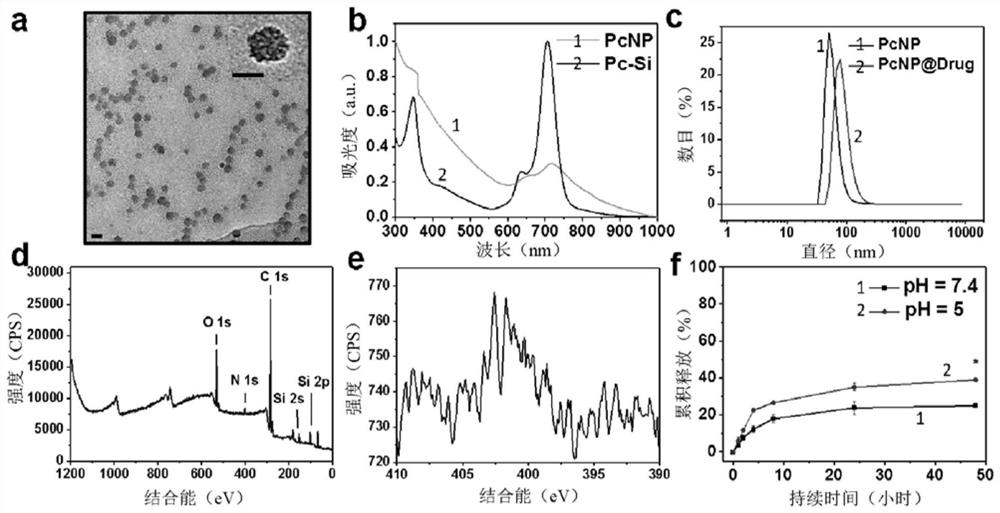 Photodynamically active organosilica nanoparticles and medical uses thereof