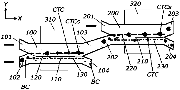 Device and method for separating circulating tumor cells and microembolus of circulating tumor cells by double-frequency standing wave sound field