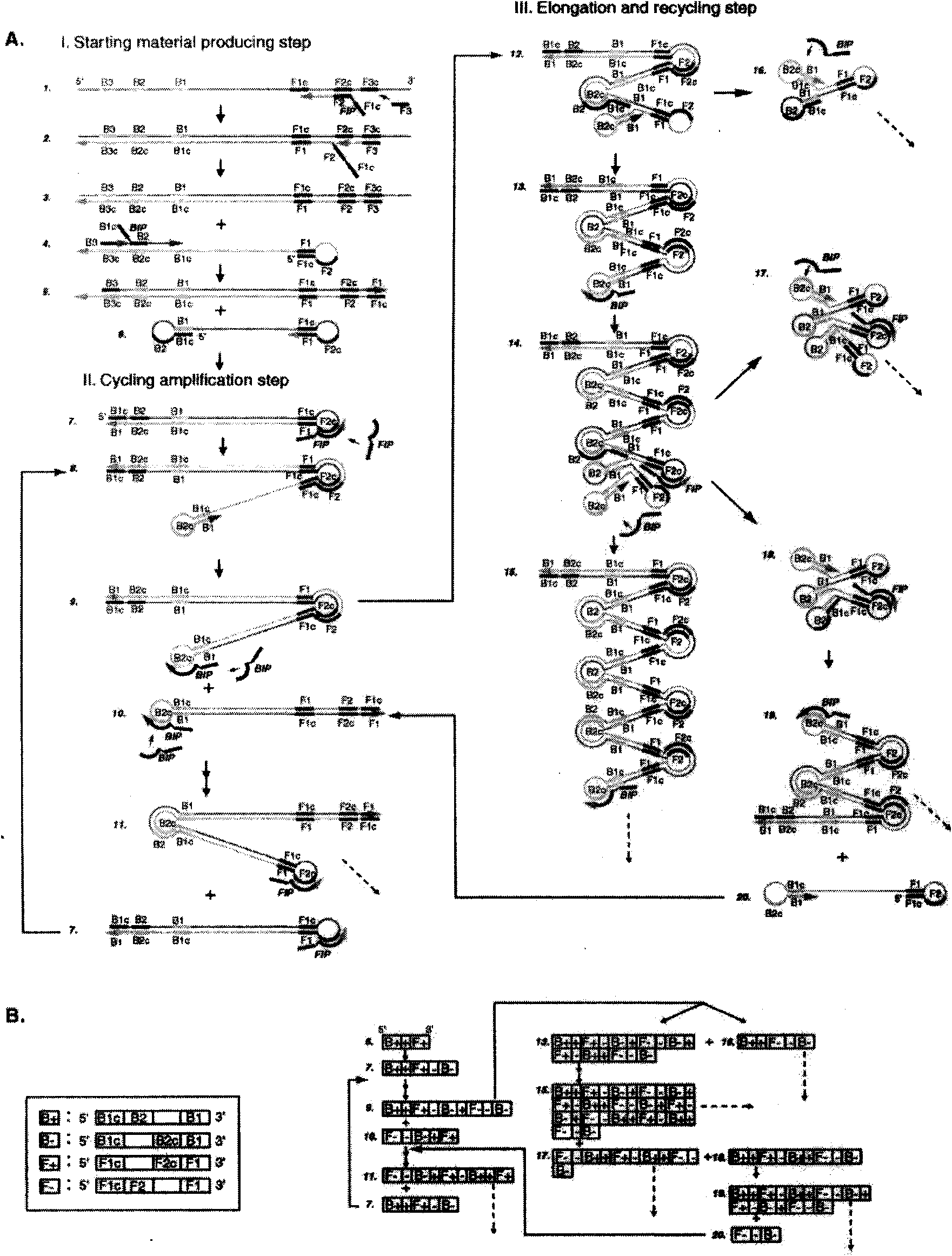 Kit for rapid joint detection of epidemic JEV, DEV and WNV and detection method thereof