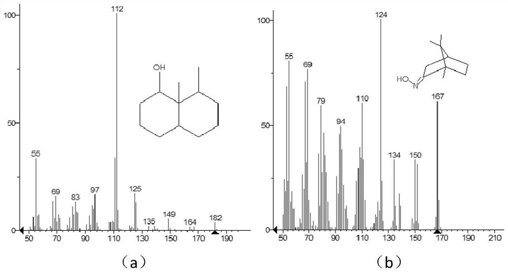 Method for determining geosmin and dimethyl isoborneol in fish body based on rapid pretreatment technology